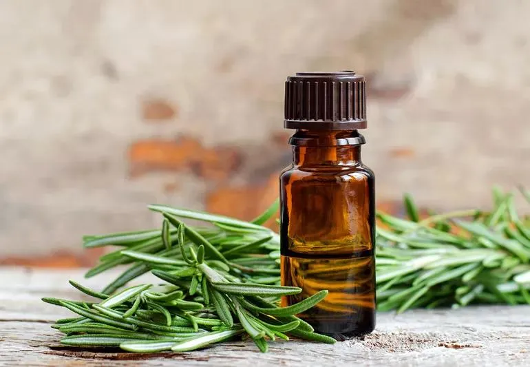 5 Rosemary Oil Benefits For Hair Growth